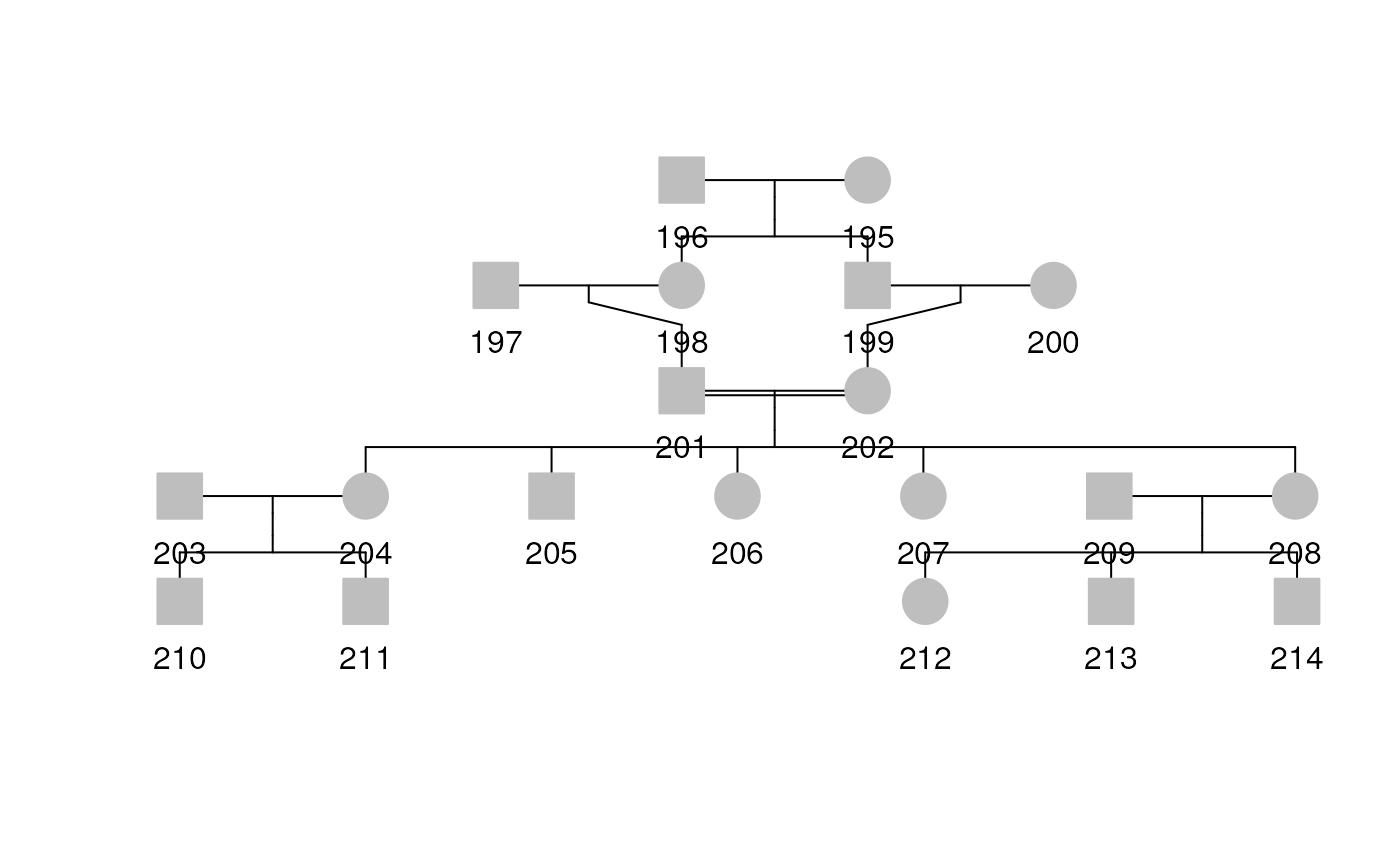 Pedigree with inbreeding