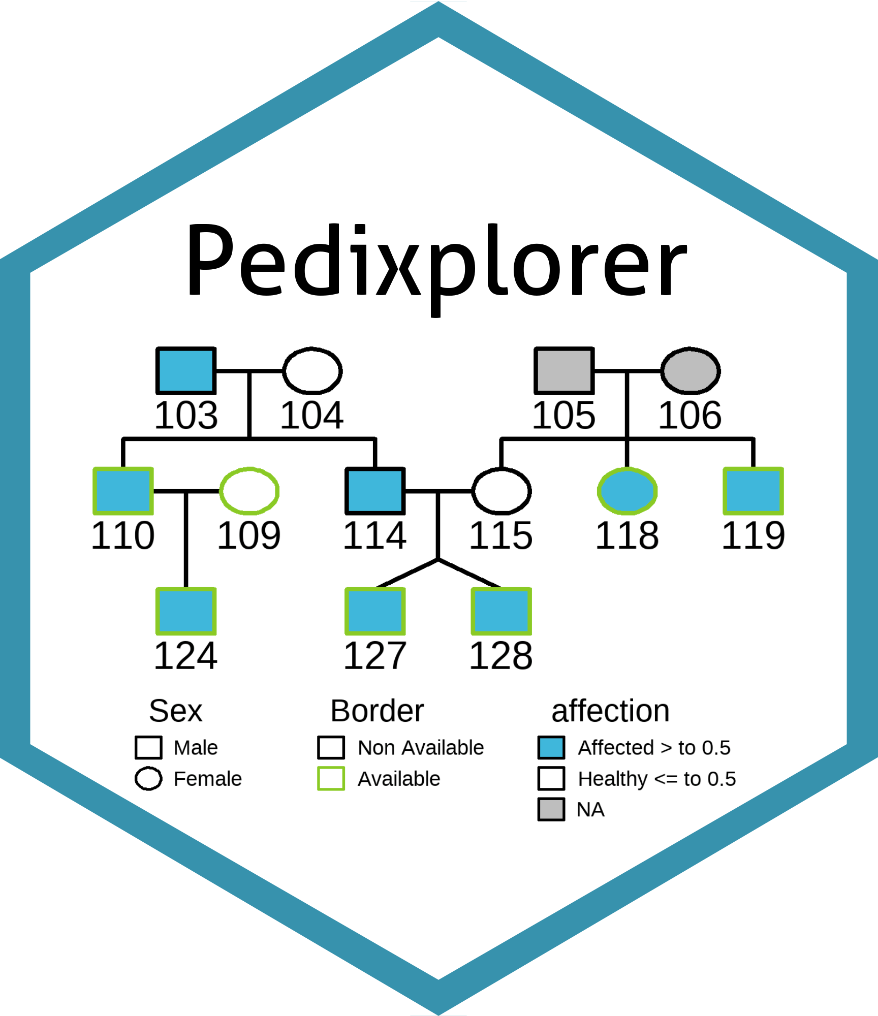 New version of Pedixplorer available